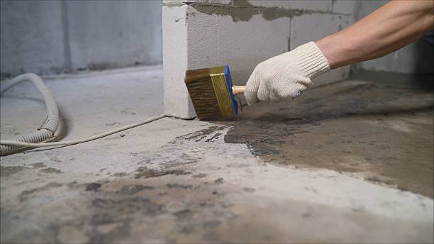 SJ Waterproofing Pros Waterproofing coverage map for Talladega, AL and surrounding area